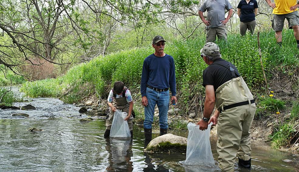 Brook Trout Release